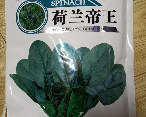 菠菜耐寒温度分析（探究菠菜在低温环境下的生长情况）