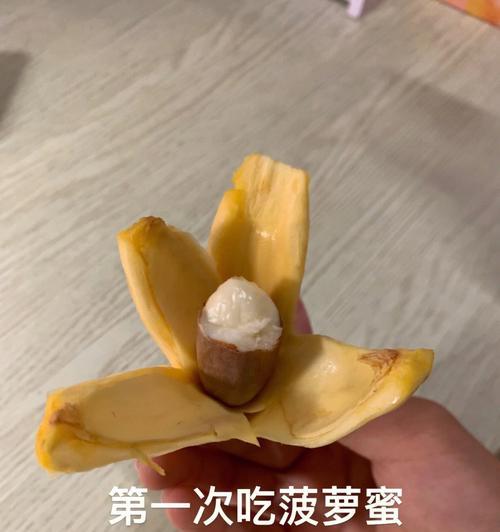 菠萝蜜种子的营养与食用方法（如何充分利用菠萝蜜种子的营养价值？）