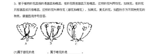 梨花是否为两性花？（解读梨花的性别属性，探究花的奥秘。）