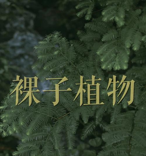 花生是裸子植物的吗？（探究花生的分类学归属与生物特征）