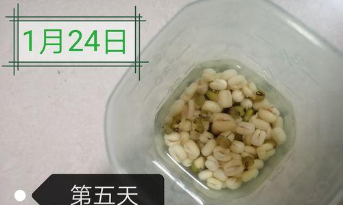 绿豆的生长与生态环境（探究绿豆生长的特点和最适宜的生态环境）