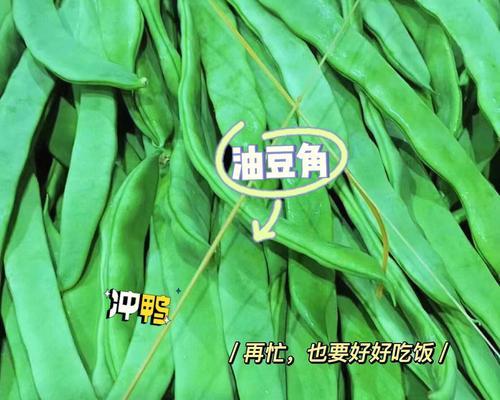 豆角种子可以吃吗？（探究豆角种子的营养价值和食用方法）