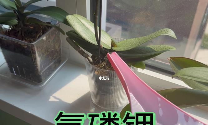 氮磷钾对植物有哪些作用？如何合理使用氮磷钾？