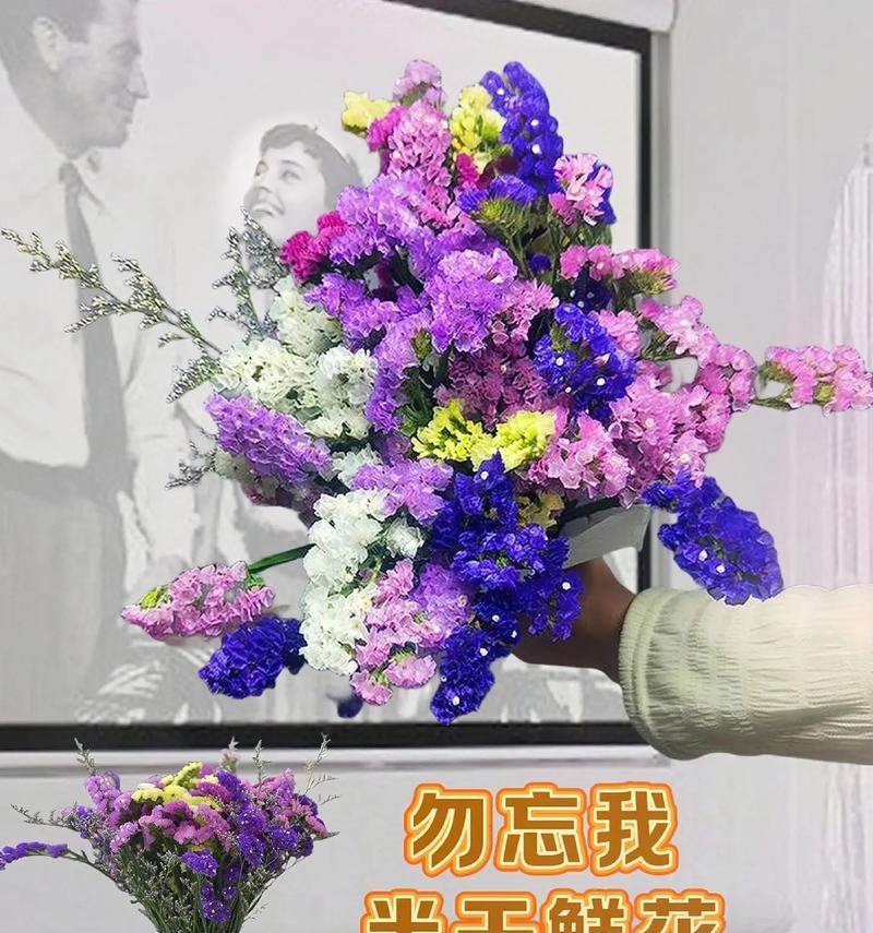 勿忘我开花时间及其特点（多久开花一次？如何培养？）