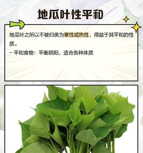 红薯叶子有毒，还是能吃的吗？（红薯叶子中的有毒物质与如何安全食用）