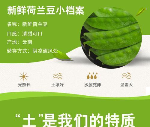 豌豆和荷兰豆的区别（探讨它们的生长环境、形态、食用方式以及营养价值）