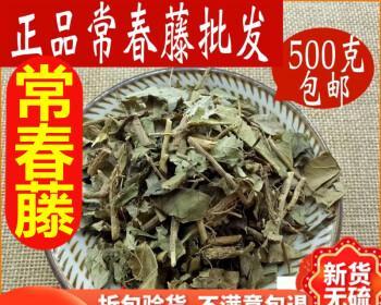 常春藤换土的时间和方法（打造健康茂盛的常春藤）