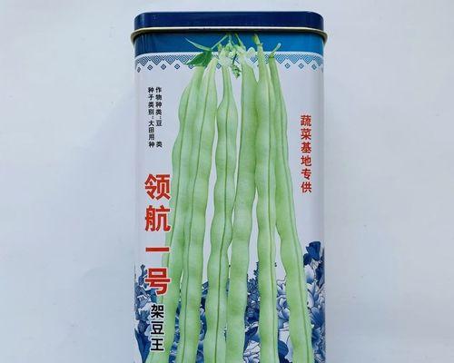 春季芸豆种植全攻略（时间、方法、技巧一网打尽）