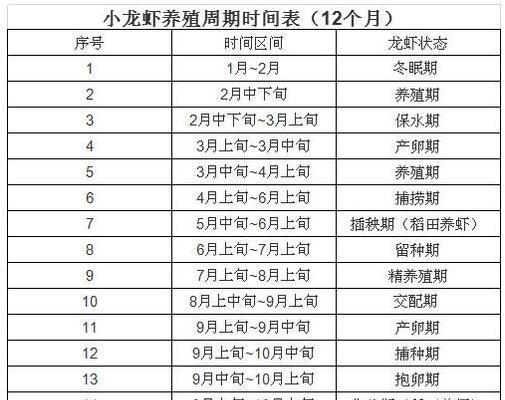 揭秘洋葱生长周期（从发芽到成熟，洋葱需要经历多少时间？）