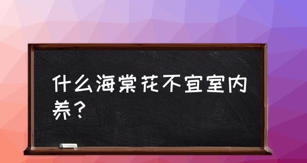 海棠花在室内养护要注意的毒性问题（毒性源于何处？如何安全养护海棠花？）