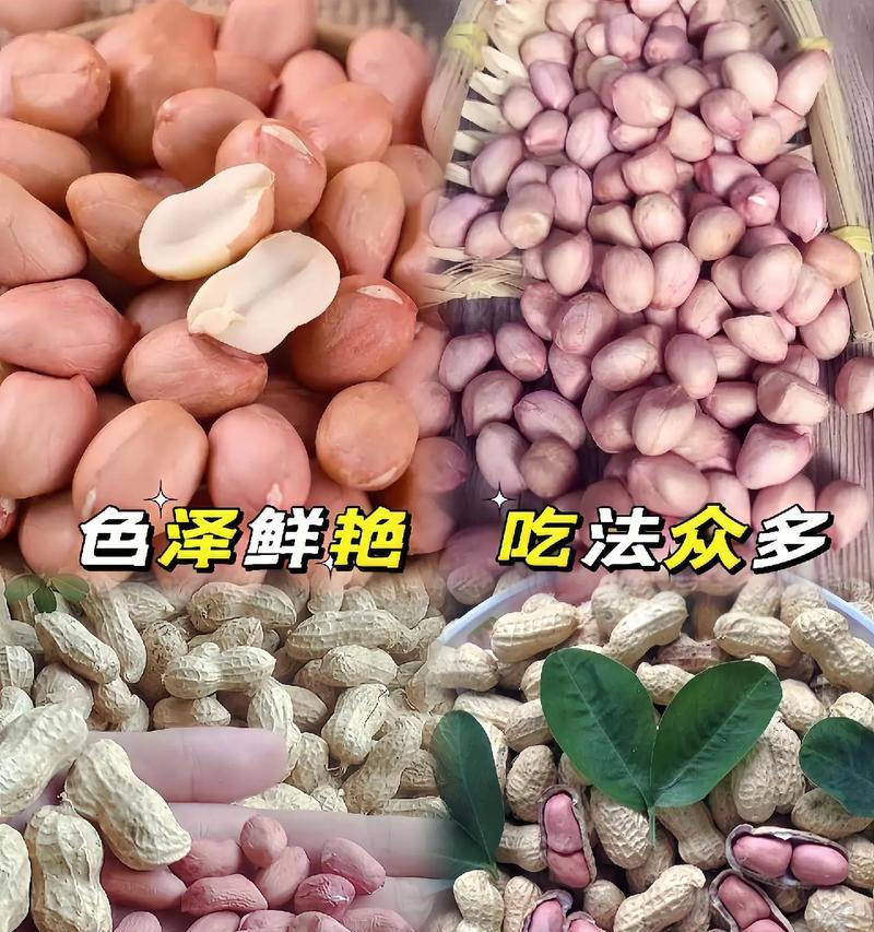 兔子能吃花生吗？——一篇关于兔子饮食的科普文章（营养均衡才是王道！——从花生的角度看兔子饮食）