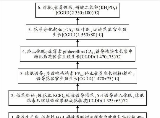 龙眼促花技术要领（通过科学方法提高龙眼花期和产量）