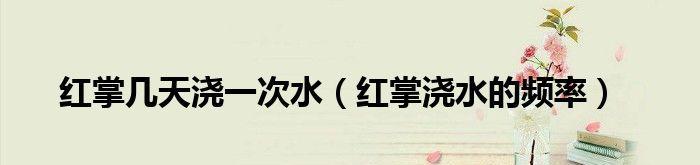 红掌夏季浇水注意事项（如何掌握红掌浇水的方法？）