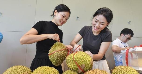 探寻榴莲成熟的季节（了解榴莲果实的成长周期及鲜果选购指南）
