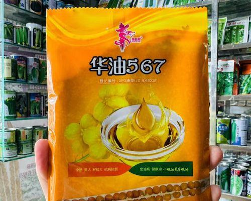 油菜籽的种植方法和时间（掌握正确的栽培技术，提高产量和品质）