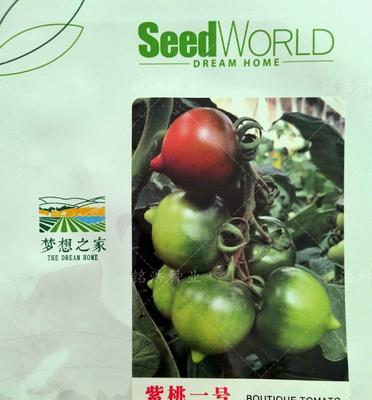 番茄最佳播种时间剖析（从生长环境到种子选择，让您轻松了解番茄播种最佳时间）