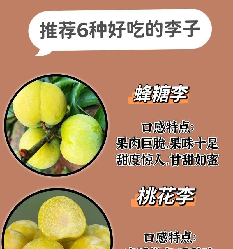 李子的糖分含量和糖尿病人可以食用的建议