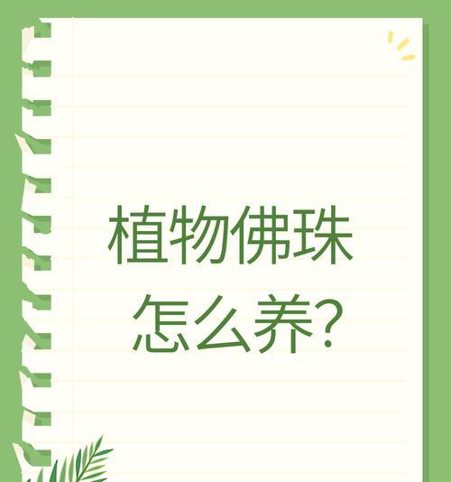佛珠冬季养护指南（如何正确保护佛珠，防止冬季损坏？）