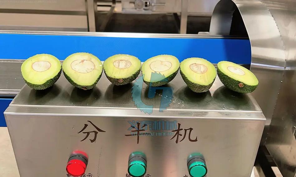 佛手瓜之公母之分（分公母的说法，你真的了解吗？）
