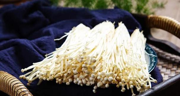 金针菇是植物吗？（探究金针菇的分类）