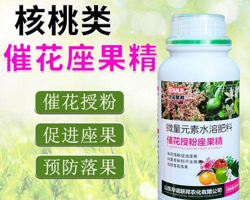 探析核桃落果的原因（从自然环境到树木生长）