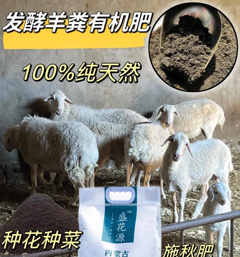 苹果树肥料的施用方法与注意事项（如何合理施肥，让苹果树健康成长？）