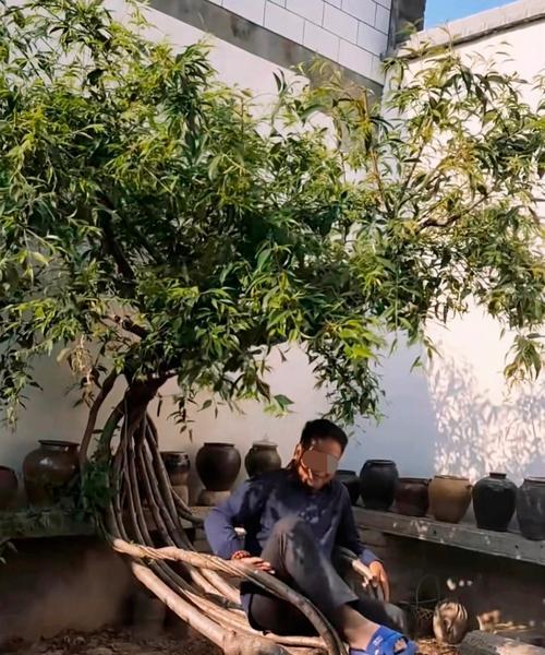 果树浇水的正确方法（科学浇水让果树茁壮成长）