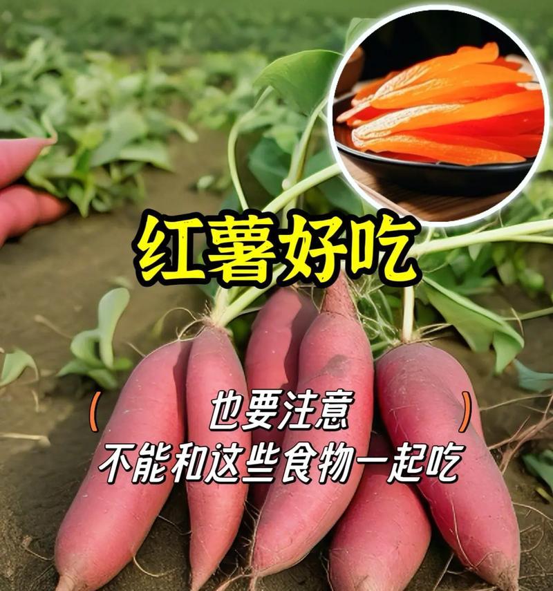 红薯不能和什么一起吃？（掌握正确搭配，避免身体受损）