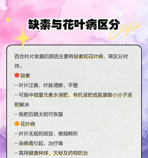 老叶子黄了怎么办？——植物叶片护理的技巧与方法（教你如何修复黄叶，让植物重新焕发生机）
