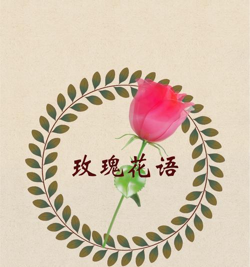 愧疚的花语——罪恶之花（了解这些花语，让我们更懂得珍惜）