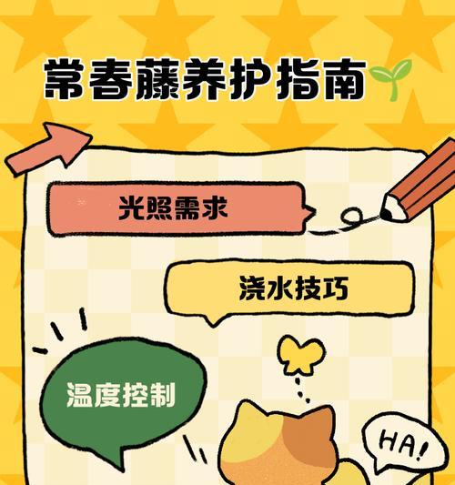 如何正确分盆以常春藤太密了（教你分盆常春藤的技巧与注意事项）