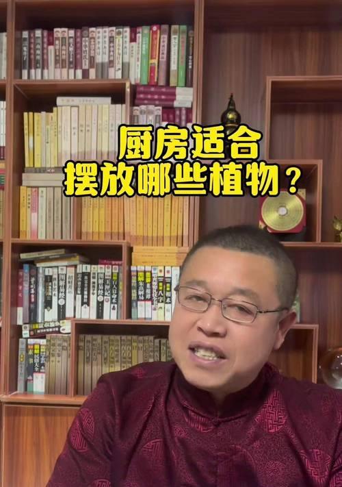 厨房里放什么植物好？——适合摆放厨房植物的推荐（让你的厨房更加生态——15种适合在厨房摆放的植物）