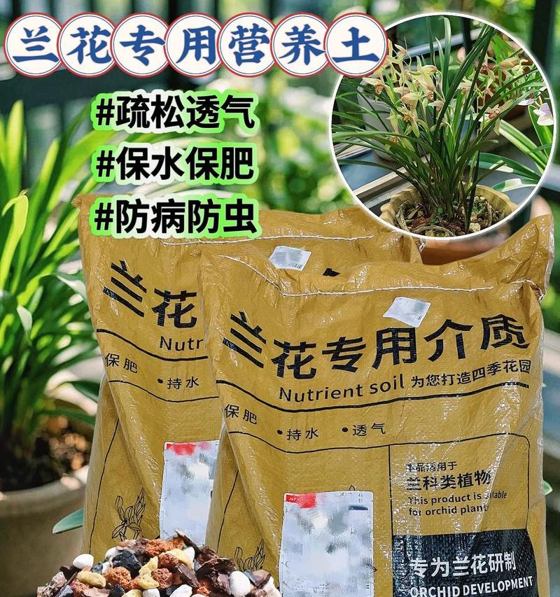 室内养兰花的土壤配方秘籍（打造理想生长环境，让兰花绽放华美）