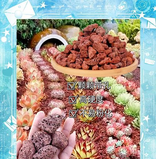 火山石与多肉的完美结合（探究火山石在多肉栽培中的作用与方法）