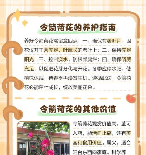 如何正确修剪令箭花（学会这些技巧，让你的令箭花更加美丽健康）