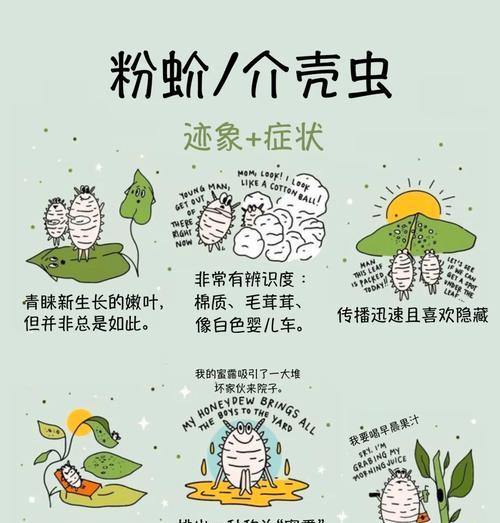土壤蚧壳虫的综合防治方法（有效控制土壤蚧壳虫，保护农作物健康生长）
