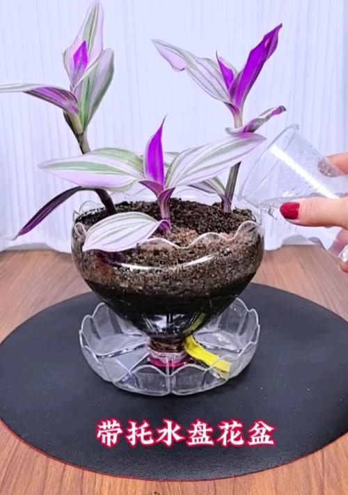 塑料花盆透气的重要性