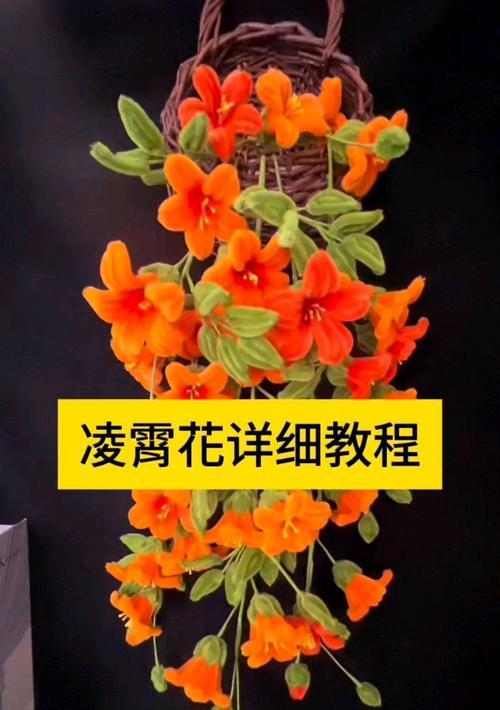 凌霄花移栽后叶子捏了怎么办？（解决凌霄花叶子捏皱的方法与技巧）