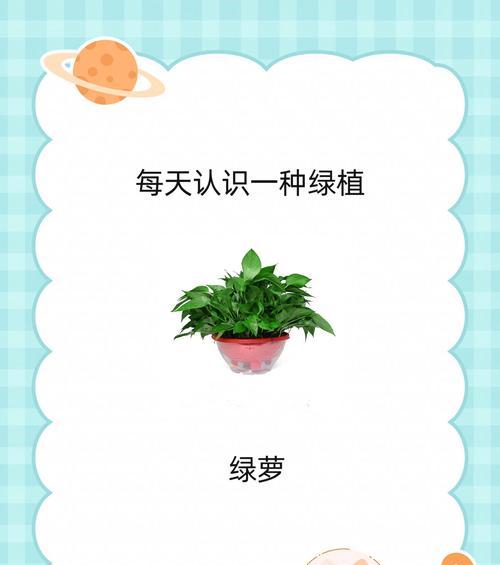 绿萝的晒太阳需求（合理晒太阳，让绿萝健康成长）