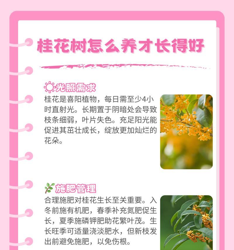 树上干桂花的处理方法（保养、修剪和利用树上干桂花的技巧与建议）