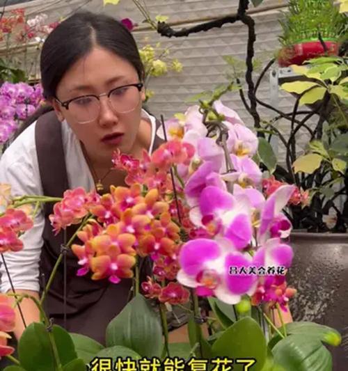 花苗剪下来如何养活（探索花剪下来后的养殖技巧及注意事项）
