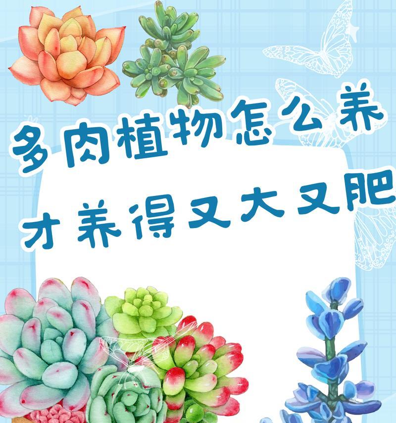 用杯子养多肉植物的技巧与方法（简单实用的家庭多肉植物养护指南）