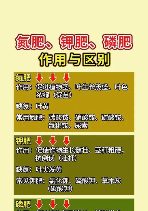 氮磷钾制作技巧大揭秘（掌握制作氮磷钾的关键步骤，打造丰收的秘密武器）