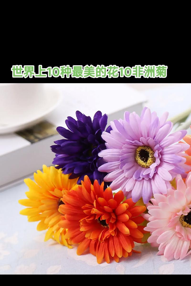 世界大花卉之壮丽花海（探索世界上最美丽的大花卉景观）