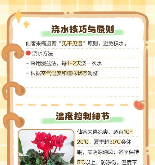 探究仙客来茎发软的原因与解决方法（了解仙客来茎发软的主要原因及对策）