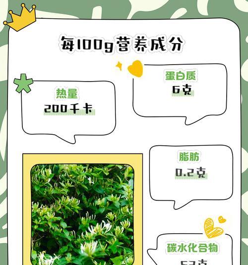 金银花的种植技巧与养护要点（打造美丽庭院的秘诀）