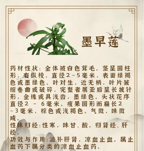 旱莲花叶子有毒吗？（了解旱莲花的叶子，保护你和家人的健康。）