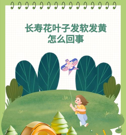 花为何会软了？（探究花为什么会出现软弱的现象以及其原因）