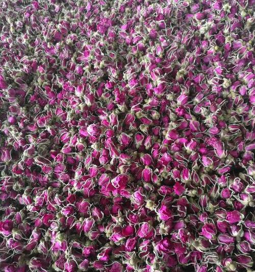 干燥花的制作与欣赏（从手工艺到艺术品，干燥花的魅力与变革）