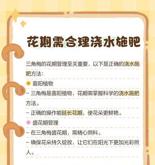 夏季三角梅的科学浇水方法（让你的三角梅在炎热夏季健康茁壮生长）